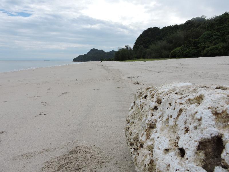 Tempat peranginan White 2*